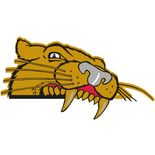 AR COUGAR 73 RC Thumbnail